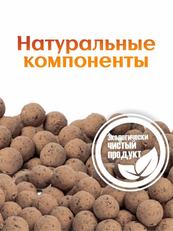 Бойлы тонущие GBS Baits Прикормочные Tiger Nut  20мм 3 кг (Тигровый Орех) 2