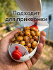 Зерновая смесь Carptravel  вакуум 1 кг (Тигровый Орех) 2