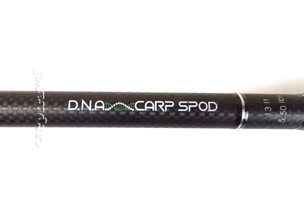 DSC06026