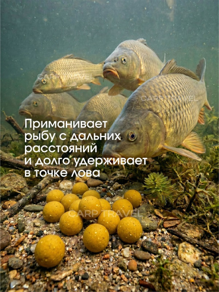 Бойлы тонущие Carptravel насадочные Corn 14мм 100 г (Кукуруза) 5