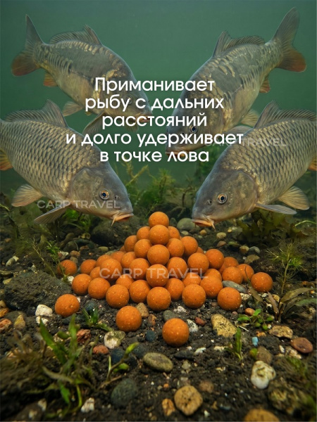 Бойлы тонущие Carptravel насадочные Tiger Nut  14мм 100 г (Тигровый Орех) 5