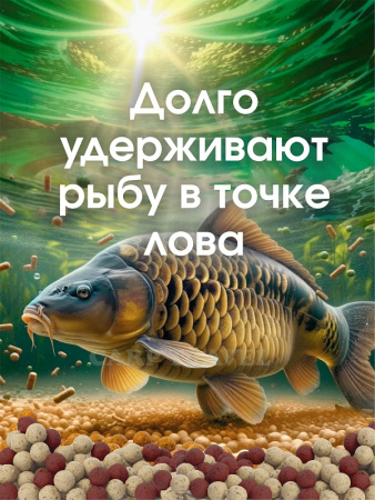 Бойлы тонущие GBS Baits Прикормочные Squidberry 20мм 1 кг (Кальмар Ягоды)