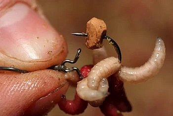 Клипса для опарыша Korda Maggot Klip Small   