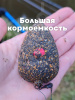 Набор неоснащенных кормушек 4 шт+ топтушка  Tackle Fish Wide XL Flat Method 70г