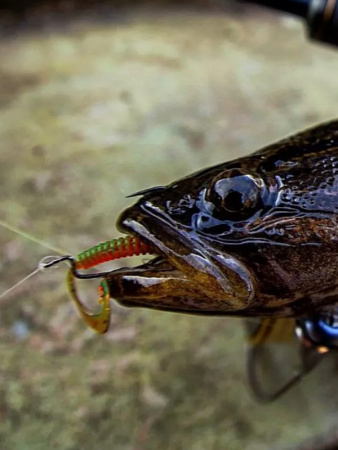 Крючок офсетный  Рыболовная империя Fish_Emp OFFSET Size 2 Никель 5шт