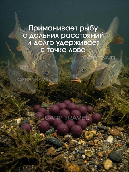 Бойлы тонущие Carptravel насадочные Plum 14мм 100 г (Слива) 4