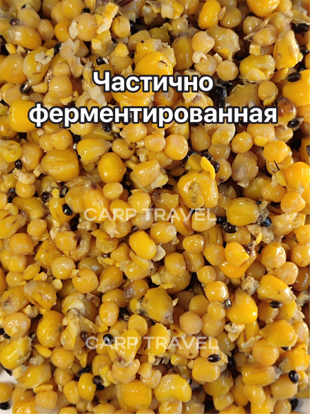 Зерновые горох кука 4