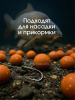 Бойлы тонущие Carptravel насадочные Tiger Nut  14мм 100 г (Тигровый Орех) 4